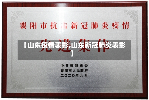 【山东疫情表彰,山东新冠肺炎表彰】-第3张图片