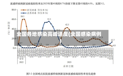 全国各地感染高峰进度(全国感染病例)-第2张图片