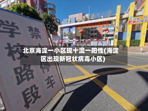 北京海淀一小区现十混一阳性(海淀区出现新冠状病毒小区)-第3张图片