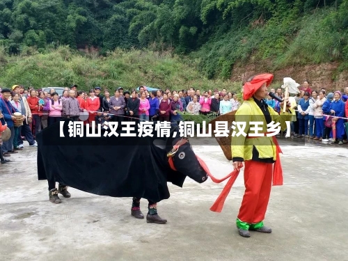 【铜山汉王疫情,铜山县汉王乡】-第1张图片