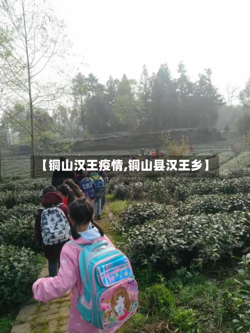 【铜山汉王疫情,铜山县汉王乡】-第2张图片