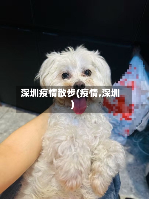 深圳疫情散步(疫情,深圳)-第1张图片