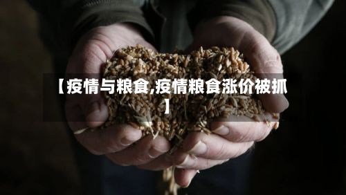 【疫情与粮食,疫情粮食涨价被抓】-第2张图片