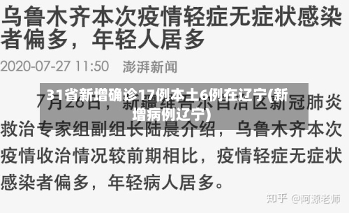 31省新增确诊17例本土6例在辽宁(新增病例辽宁)-第1张图片