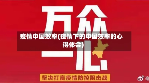 疫情中国效率(疫情下的中国效率的心得体会)-第1张图片