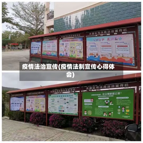 疫情法治宣传(疫情法制宣传心得体会)-第1张图片