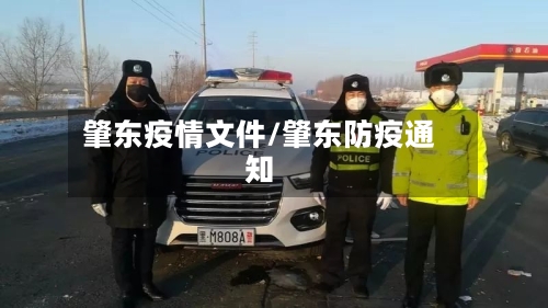 肇东疫情文件/肇东防疫通知-第1张图片