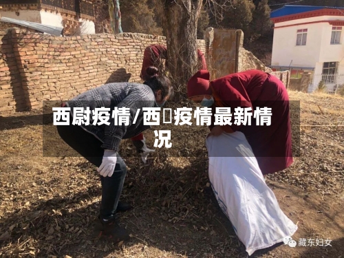 西尉疫情/西蔵疫情最新情况-第1张图片