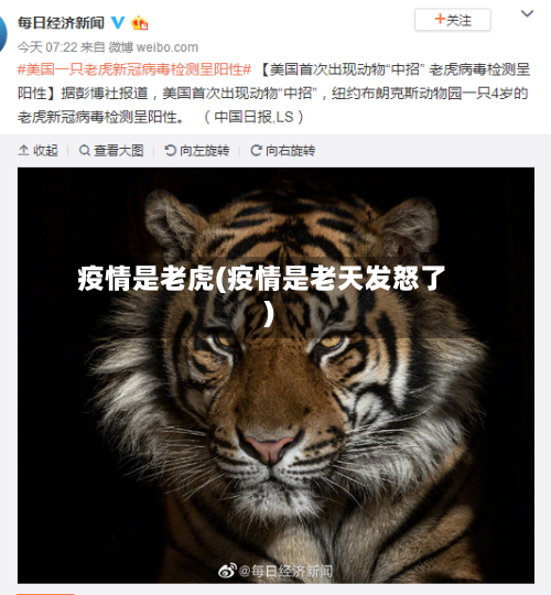 疫情是老虎(疫情是老天发怒了)-第2张图片