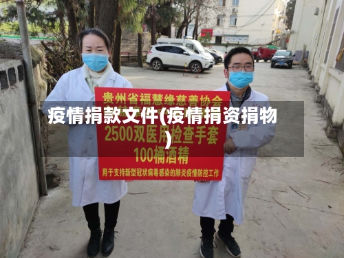 疫情捐款文件(疫情捐资捐物)-第3张图片