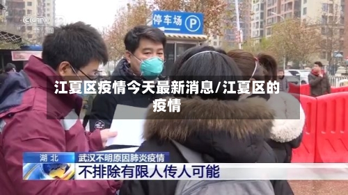 江夏区疫情今天最新消息/江夏区的疫情-第2张图片