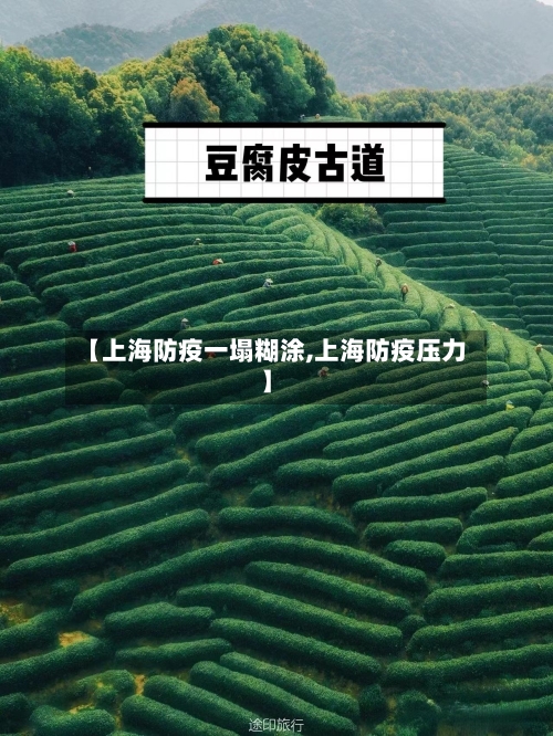 【上海防疫一塌糊涂,上海防疫压力】-第1张图片