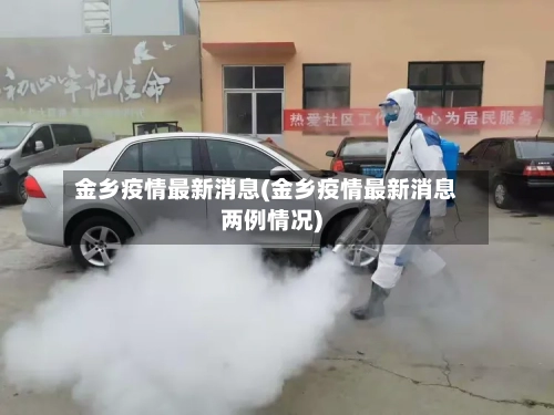 金乡疫情最新消息(金乡疫情最新消息两例情况)-第1张图片